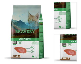 BRAVERY cat KITTEN - 600g 3