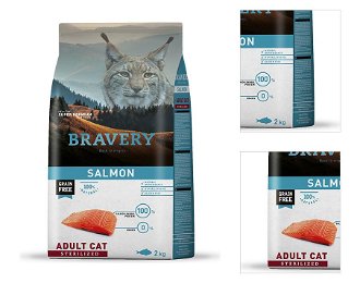 BRAVERY cat STERILIZED salmon - 2 kg 3