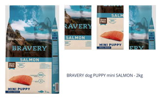 BRAVERY dog PUPPY mini SALMON - 2kg 1