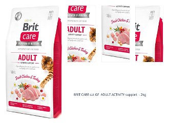 BRIT CARE cat GF  ADULT ACTIVITY support  - 2kg 1