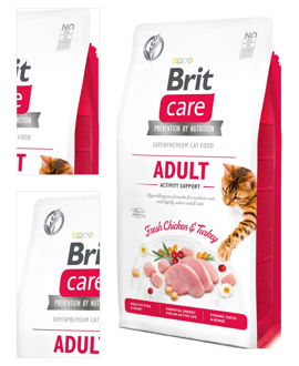 BRIT CARE cat GF ADULT ACTIVITY support - 2kg 4