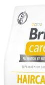 BRIT CARE cat GF HAIRCARE healthy/shiny - 2kg 6