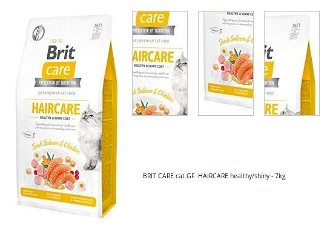 BRIT CARE cat GF  HAIRCARE healthy/shiny - 7kg 1