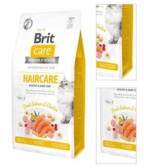BRIT CARE cat GF  HAIRCARE healthy/shiny - 7kg 3