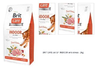 BRIT CARE cat GF  INDOOR anti-stress - 2kg 1