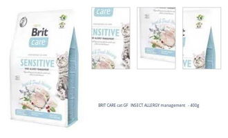 BRIT CARE cat GF INSECT ALLERGY management - 400g 1