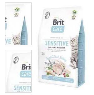 BRIT CARE cat GF INSECT ALLERGY management - 400g 4
