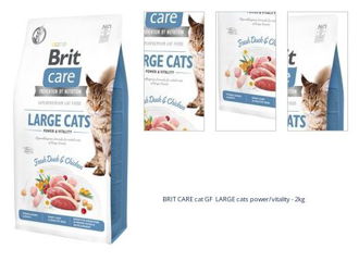 BRIT CARE cat GF LARGE cats power/vitality - 2kg 1