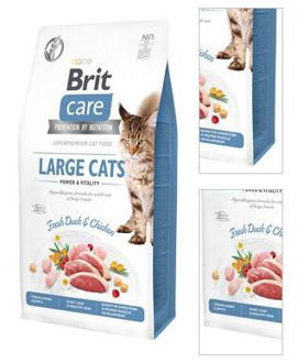 BRIT CARE cat GF LARGE cats power/vitality - 2kg 3