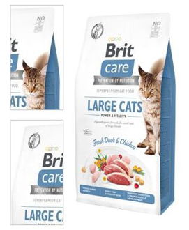 BRIT CARE cat GF LARGE cats power/vitality - 2kg 4