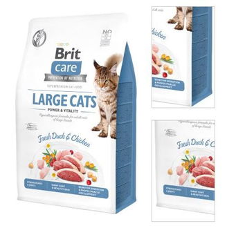 BRIT CARE cat GF LARGE cats power/vitality - 400g 3