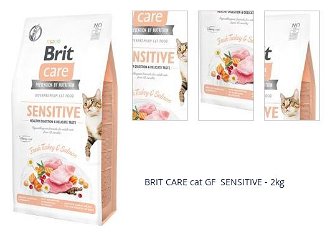 BRIT CARE cat GF  SENSITIVE - 2kg 1