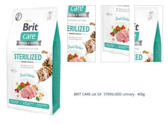 BRIT CARE cat GF STERILISED urinary - 400g 1