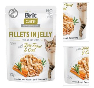 Brit Care Cat kapsička, filetky v želé s treskou a pstruhom 85 g 3