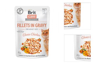 Brit Care Cat kapsička Fillets in Gravy Choice Chicken 85 g 3