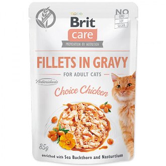 Brit Care Cat kapsička Fillets in Gravy Choice Chicken 85 g