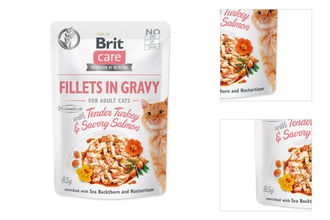 Brit Care Cat kapsička Fillets in Gravy with Tender Turkey & Savory Salmon 85 g 3