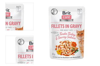 Brit Care Cat kapsička Fillets in Gravy with Tender Turkey & Savory Salmon 85 g 4