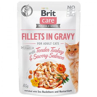 Brit Care Cat kapsička Fillets in Gravy with Tender Turkey & Savory Salmon 85 g
