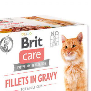 Brit Care Cat kapsička Multipack Flavour box Fillet in Gravy (4x3 ks) 12x85 g 7