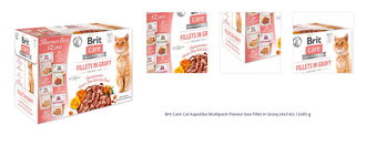 Brit Care Cat kapsička Multipack Flavour box Fillet in Gravy (4x3 ks) 12x85 g 1