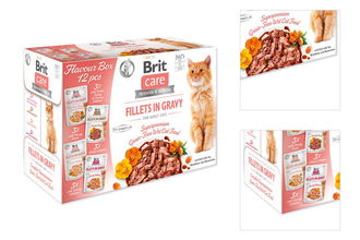 Brit Care Cat kapsička Multipack Flavour box Fillet in Gravy (4x3 ks) 12x85 g 3