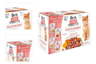 Brit Care Cat kapsička Multipack Flavour box Fillet in Gravy (4x3 ks) 12x85 g 4