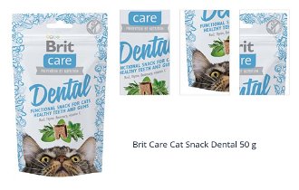 Brit Care Cat Snack Dental 50 g 1