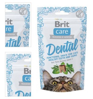 Brit Care Cat Snack Dental 50 g 4