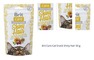 Brit Care Cat Snack Shiny Hair 50 g 1