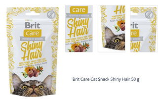 Brit Care Cat Snack Shiny Hair 50 g 1