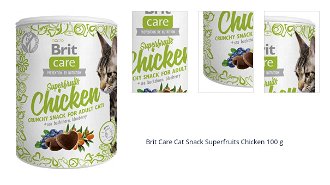 Brit Care Cat Snack Superfruits Chicken 100 g 1