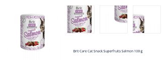 Brit Care Cat Snack Superfruits Salmon  100 g 1