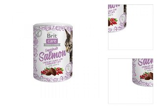 Brit Care Cat Snack Superfruits Salmon  100 g 3