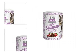 Brit Care Cat Snack Superfruits Salmon  100 g 4