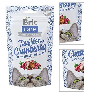 Brit Care Cat Snack Truffles Cranberry 50 g 3
