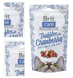 Brit Care Cat Snack Truffles Cranberry 50 g 4