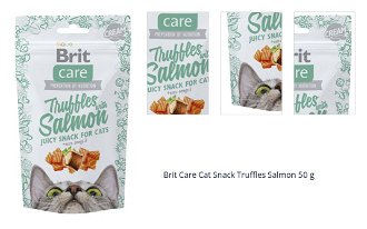 Brit Care Cat Snack Truffles Salmon 50 g 1