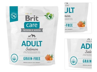 Brit Care Dog Adult Grain-free - 1kg 3