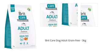 Brit Care Dog Adult Grain-free - 3kg 1