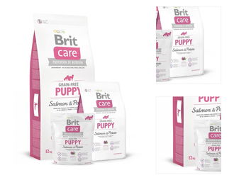 Brit Care Dog Grain-free Puppy 1 kg - 1kg 3