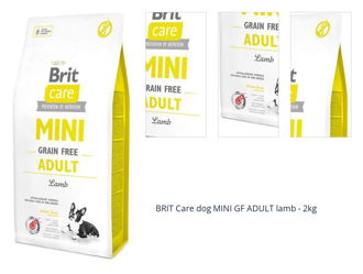 BRIT Care dog MINI GF ADULT lamb - 2kg 1