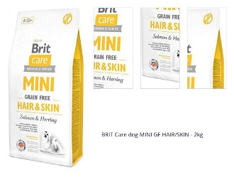 BRIT Care dog MINI GF HAIR/SKIN - 2kg 1