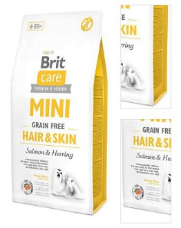 BRIT Care dog MINI GF HAIR/SKIN - 2kg 3