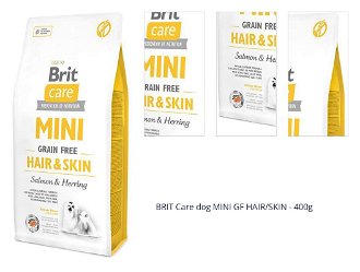 BRIT Care dog MINI GF HAIR/SKIN - 400g 1