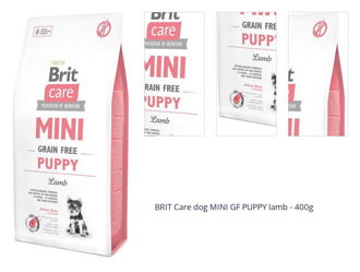 BRIT Care dog MINI GF PUPPY lamb - 400g 1