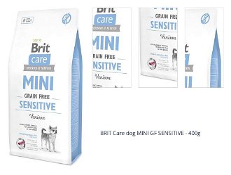 BRIT Care dog MINI GF SENSITIVE - 400g 1