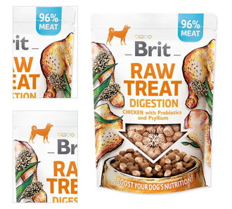 Brit Care dog raw treat digestion kura 40 g 4