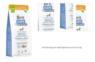 Brit Care dog Sust. adult large hmyz a kura 12+2 kg 1