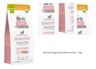 Brit Care Dog Sensitive Sustainable - 1kg 1